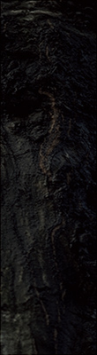 mononoke2_7