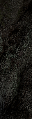 mononoke2_12