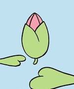 ヤスダミチアキ