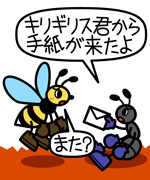 第243話「しかも美人!」